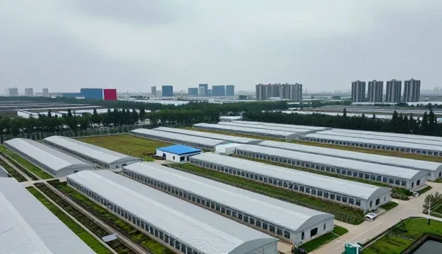 提升接待效率与体验的实践路径